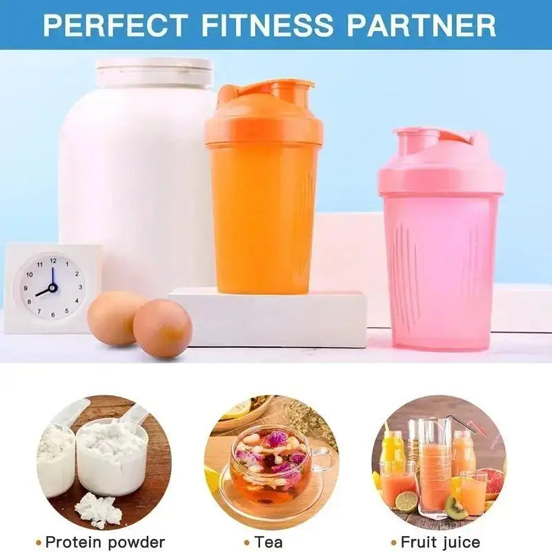 GAINZ 400ML Protein Shaker | Blender Ball